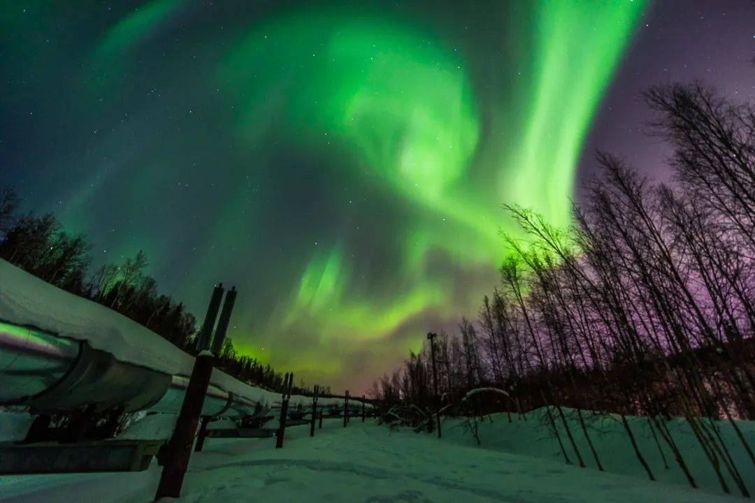 2-14 Pax Northern Lights Chase Tour: 4-Hour Wilderness Aurora Viewing with Photography Guide | Daily Departure