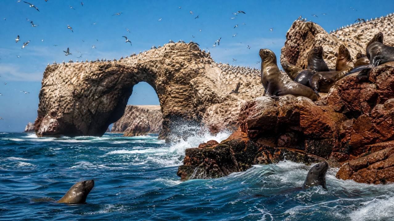 Paracas
