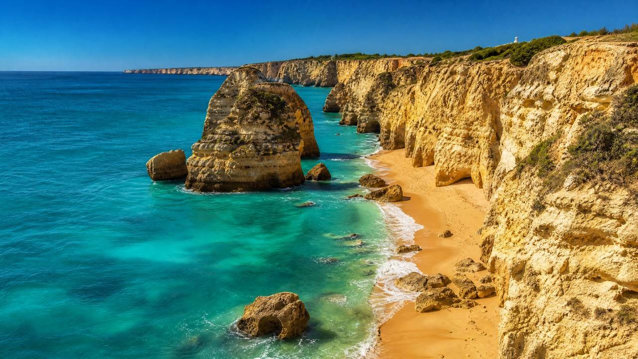 Faro