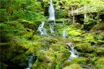 芬迪湾国家公园2026摄影攻略
